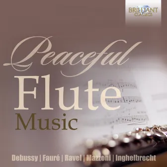 Peaceful Flute Music by Andrea Manco