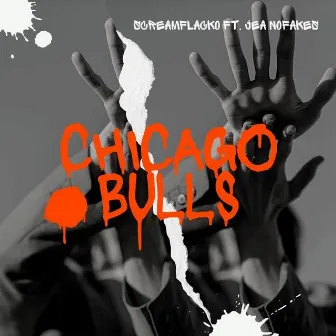 Chicago Bulls by Screamflacko