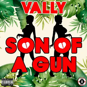 Son Of A Gun (S.O.A.G) by Vally