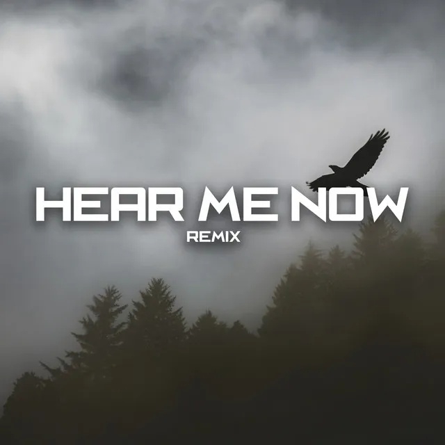 Hear Me Now - Remix