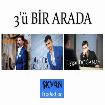 3'ü Bir Arada by Özgür Kaplan