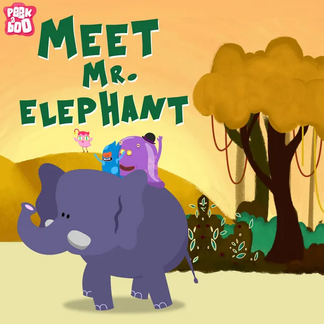 Meet Mr. Elephant