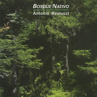 Bosque Nativo by Antonio Restucci