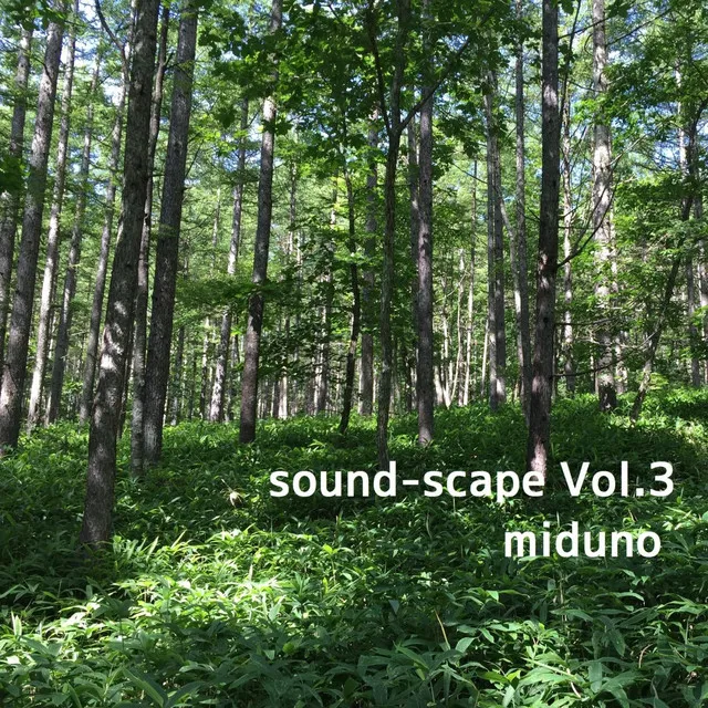 Nature Sound - Kita Yatsugatake Mountain - Morning landscape01 (Binaural)