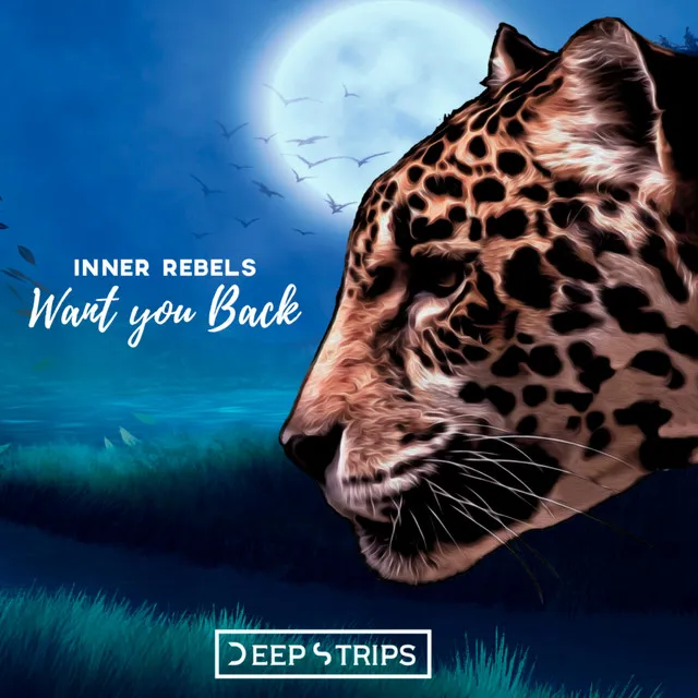 Want You Back - Vicent Ballester Remix