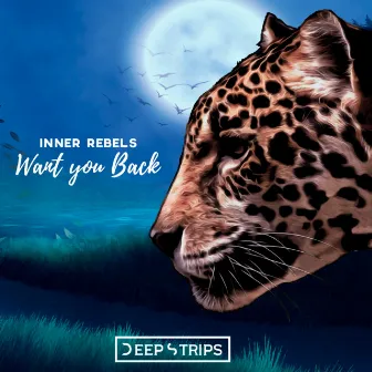 Want You Back by Inner Rebels