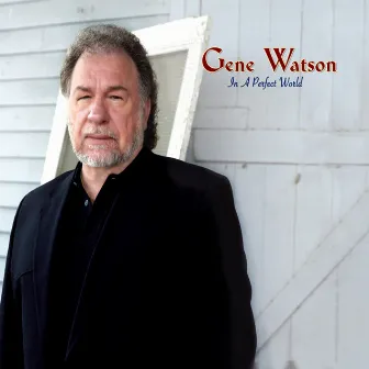 In A Perfect World by Gene Watson