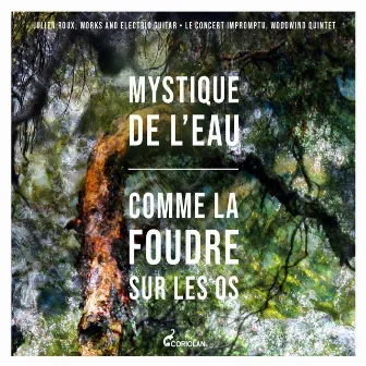 La mystique de l'eau — Comme la foudre sur les os by Le Concert Impromptu