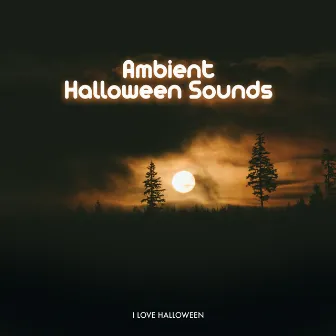 Ambient Halloween Sounds by I Love Halloween