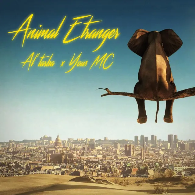 Animal Étranger - CdC04