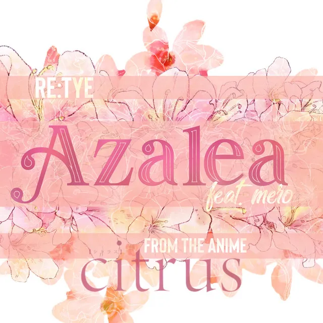 Azalea (From 