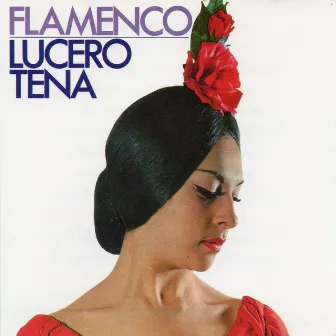 Flamenco by Lucero Tena