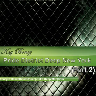 Pride District Deep New York, Vol. 2 by Kay Bonez