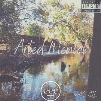 Arted Mental by Mac Vill