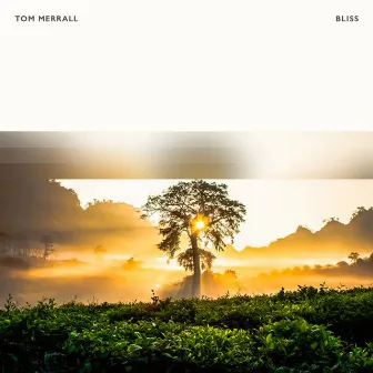 Bliss by Tom Merrall