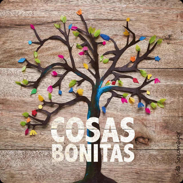 Cosas Bonitas