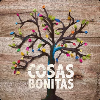 Cosas Bonitas by Vida Sotomayor