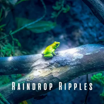 Raindrop Ripples: Sleep to the Sounds of Heavy Rain and Frogs by Rainforest Ambience