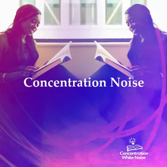 Concentration Noise by Concentration White Noise