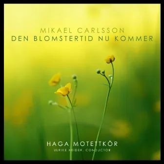 Den blomstertid nu kommer by Ulrike Heider