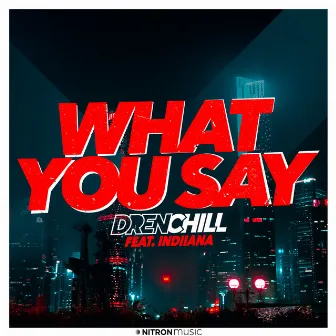 What You Say (feat. Indiiana) by Drenchill