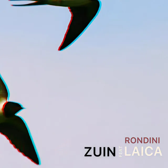 Rondini