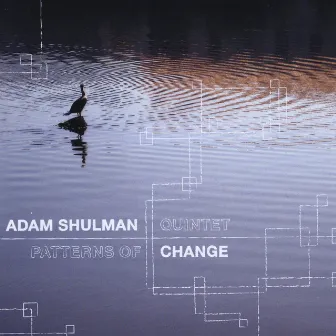 Patterns of Change by Adam Shulman