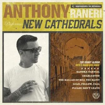 New Cathedrals by Anthony Raneri