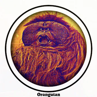 Orangutan by Hannah Aviera