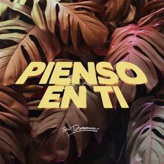 Pienso en Ti by Su Presencia