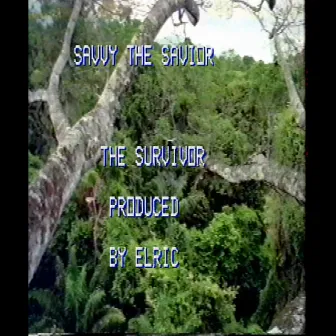 The Survivor by Savvy the Savior