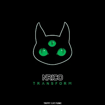 Transform (Original Mix) by Nrico