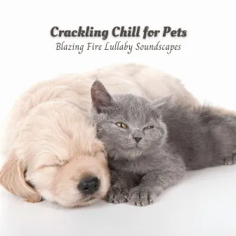 Crackling Chill for Pets: Blazing Fire Lullaby Soundscapes by Happy Dogs And Cats