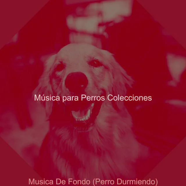 Musica De Fondo (Perro Durmiendo)