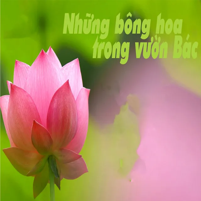 Viếng Lăng Bác