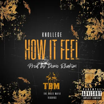 How It Feel by The Breed Mafia