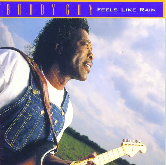 Feels Like Rain (feat. Bonnie Raitt)