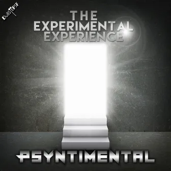 The Experimental Experience by Psyntimental