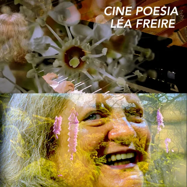 Cinepoesia: Samba do Árvore