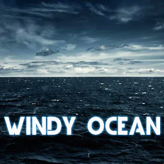 Windy Ocean by Wind Sounds