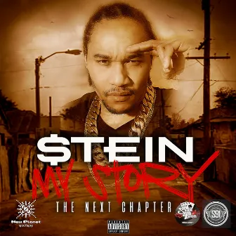 My Story: The Next Chapter by Stein