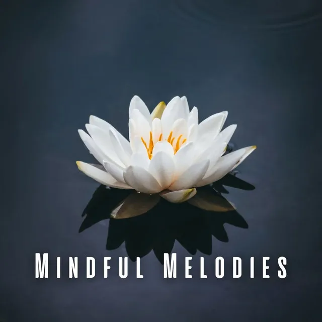 Mindful Melodies: Meditation Music Edition