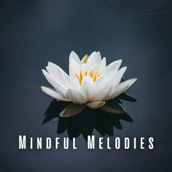 Mindful Melodies: Meditation Music Edition by The Silent Minds