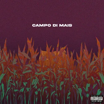 Campo di mais by Poco Conto