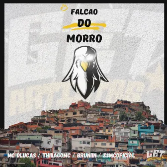 Falcão do Morro by BRUNIIN