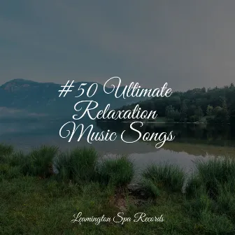 #50 Ultimate Relaxation Music Songs by Oasis of Meditation