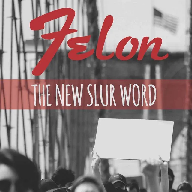 Felon the New Slur Word