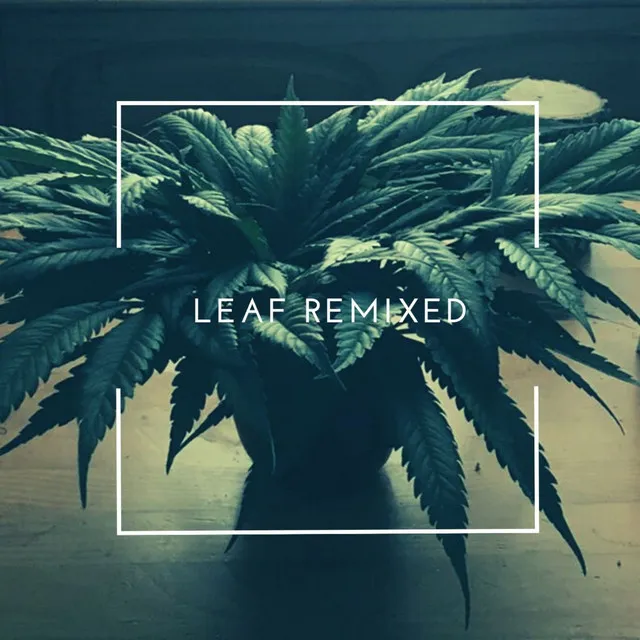 Leaf Remixed