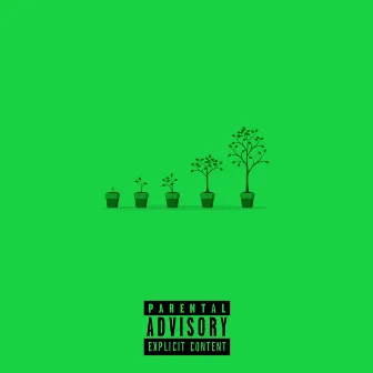 Growth by Lil Gordo