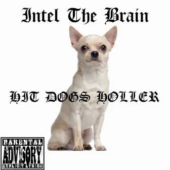 Hit Dogs Holler by Intel The Brain